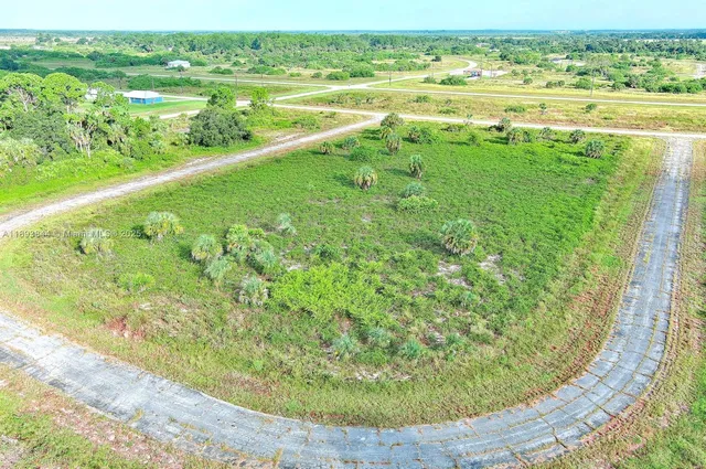 a view of a lake from a yard