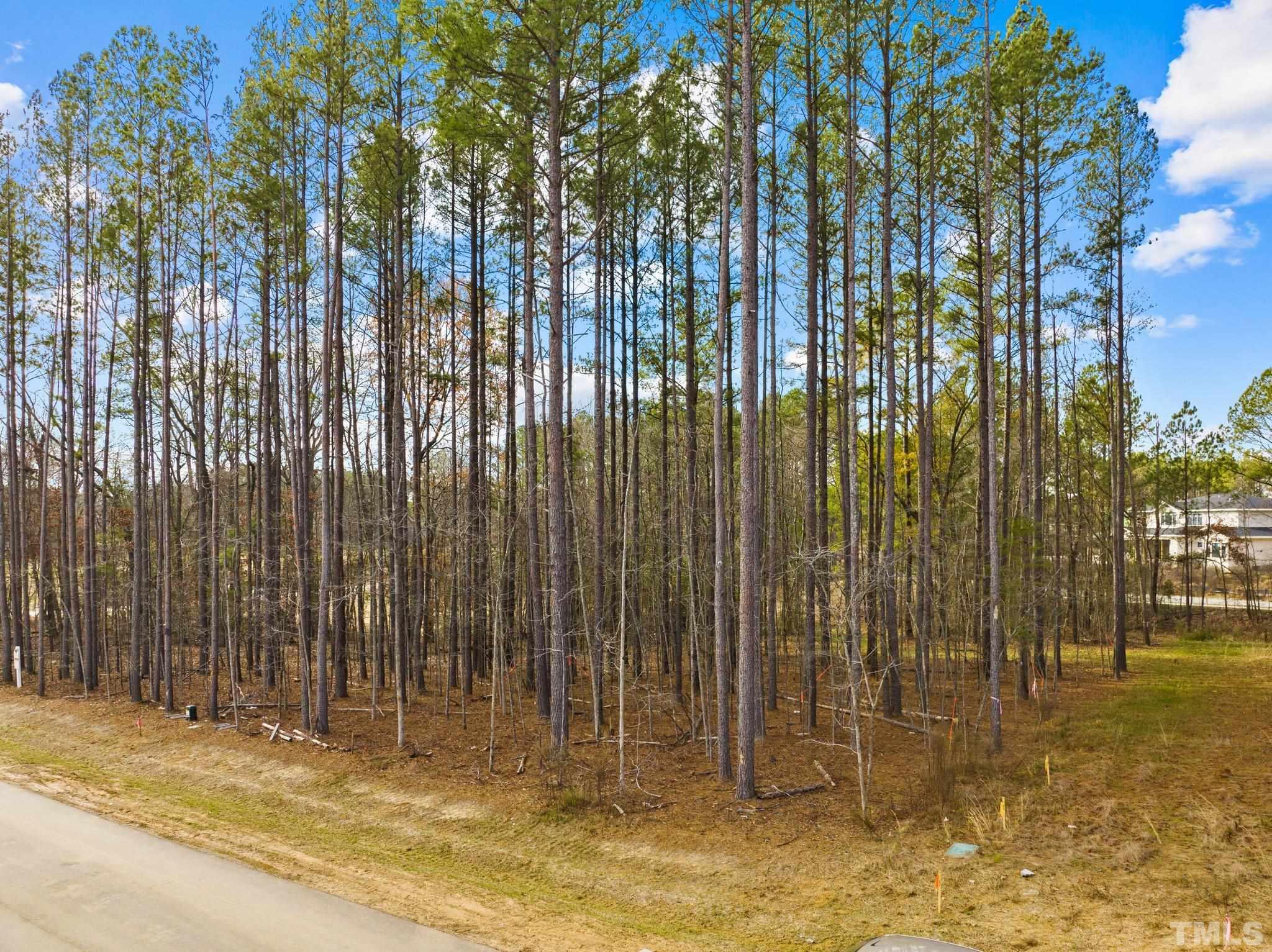 617 Dappled Pine Avenue Durham, NC 27713 - Photo 12 of 14