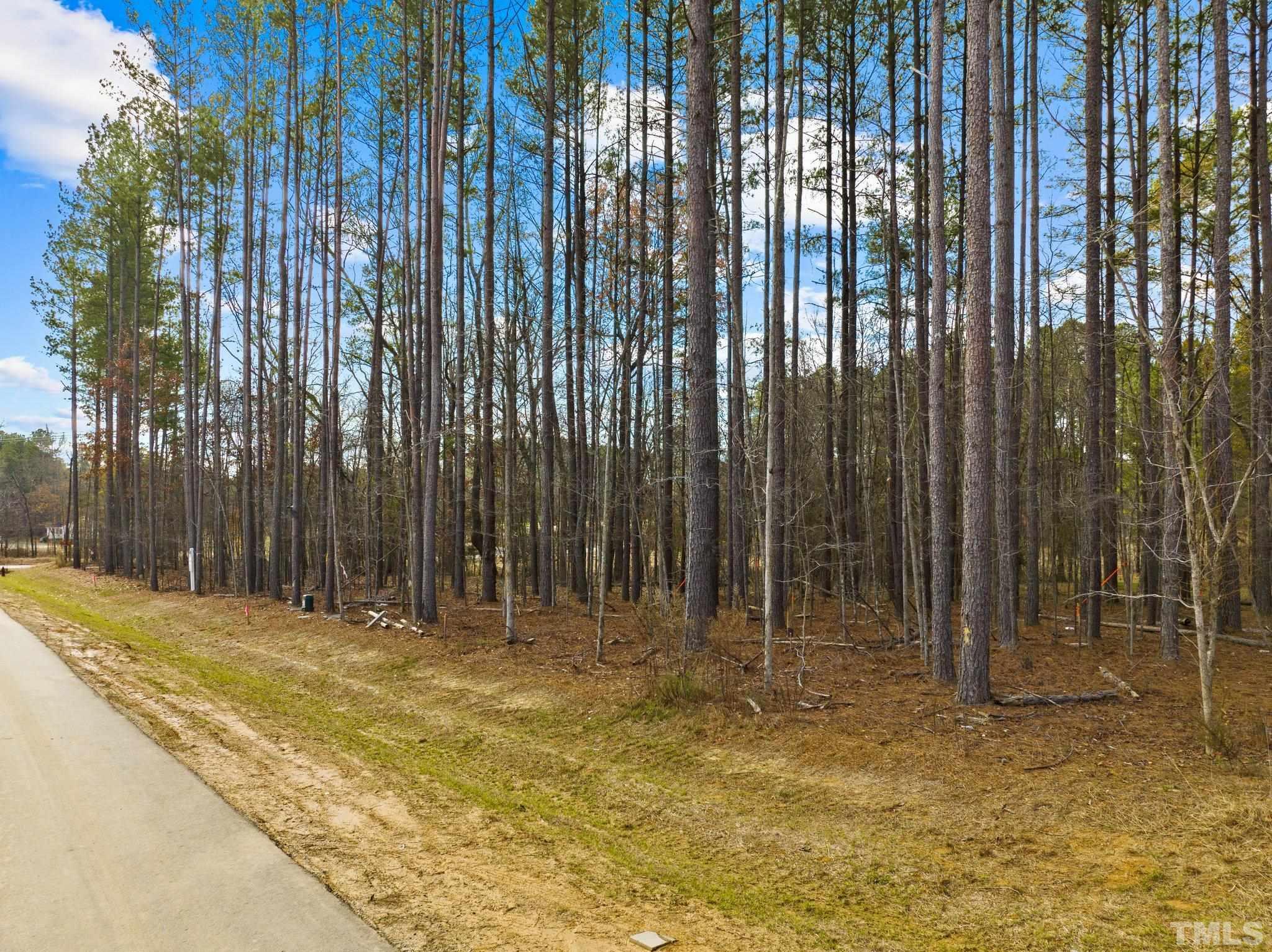 617 Dappled Pine Avenue Durham, NC 27713 - Photo 14 of 14 a house with trees in front of it