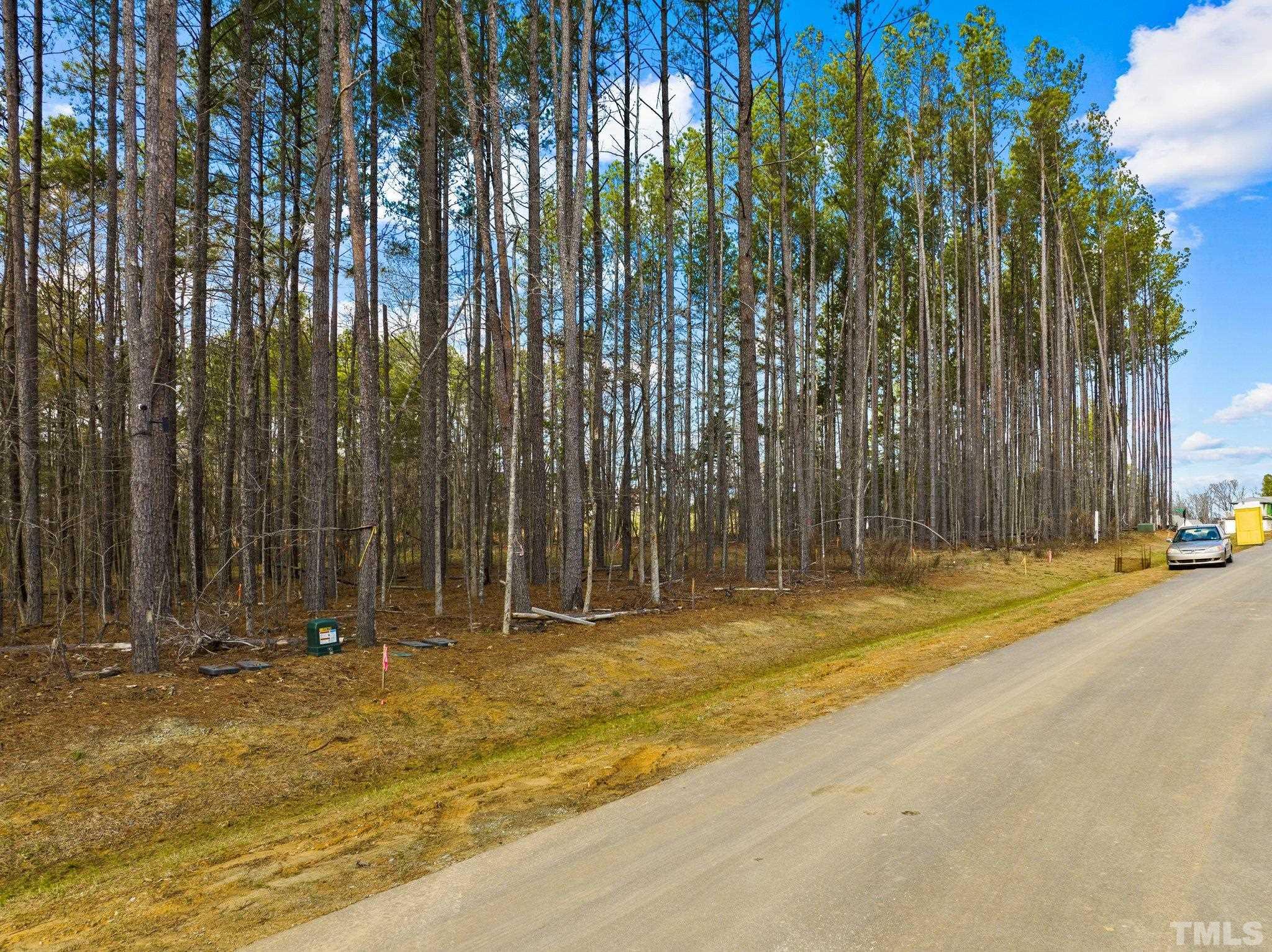 617 Dappled Pine Avenue Durham, NC 27713 - Photo 3 of 14 a view of outdoor space with street view