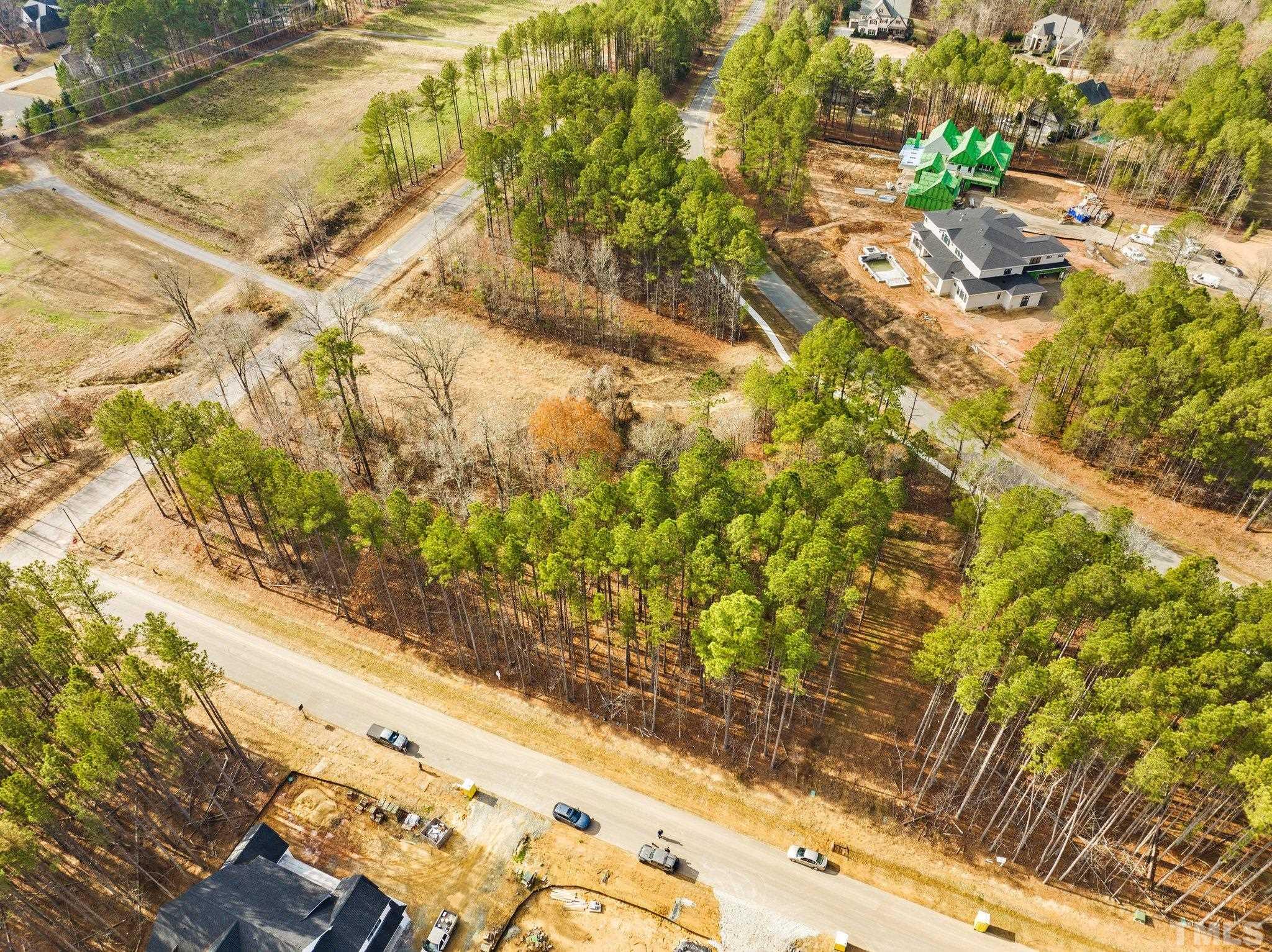 617 Dappled Pine Avenue Durham, NC 27713 - Photo 5 of 14 a view of a yard with plants and wooden fence