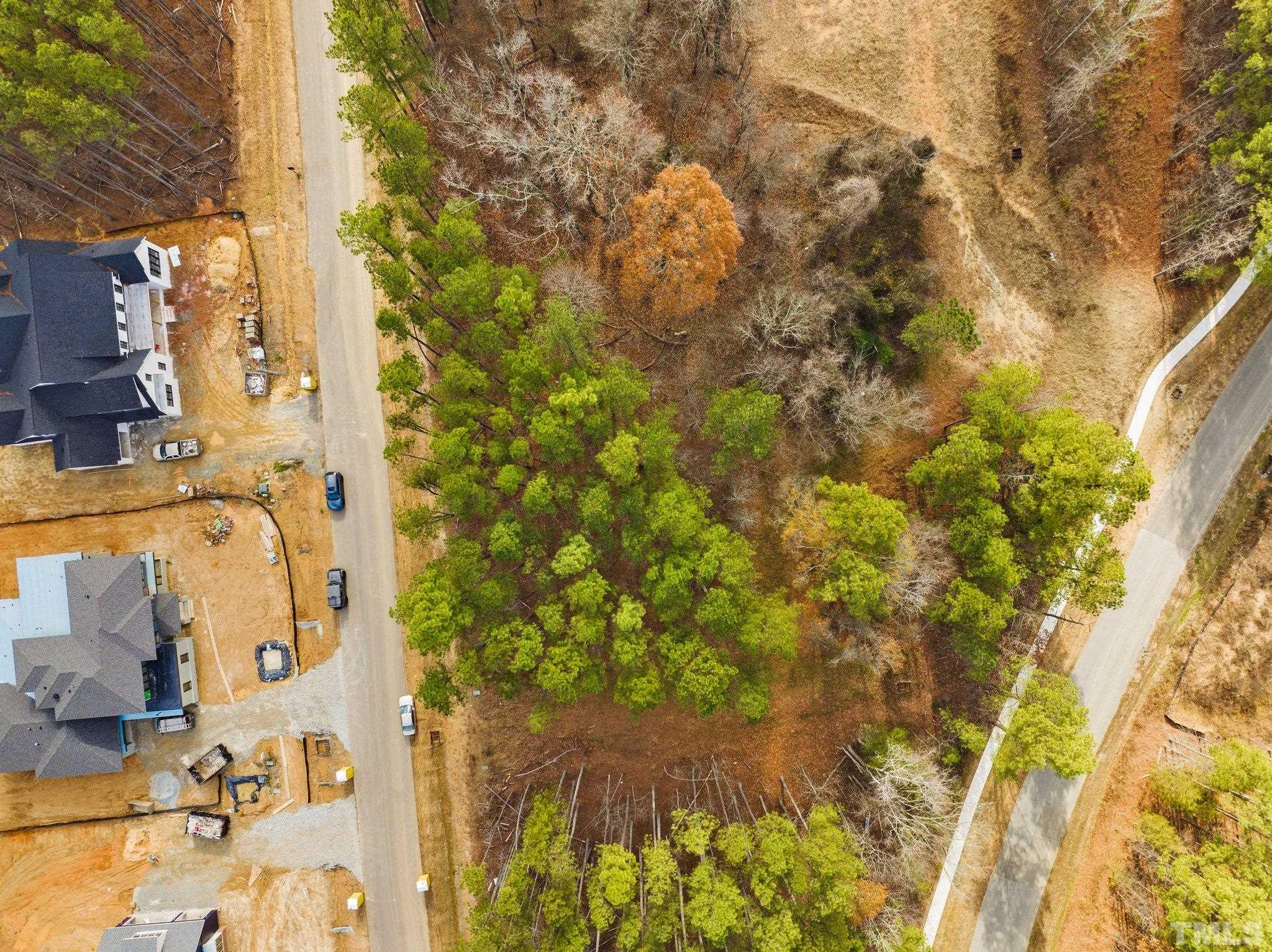 617 Dappled Pine Avenue Durham, NC 27713 - Photo 8 of 14