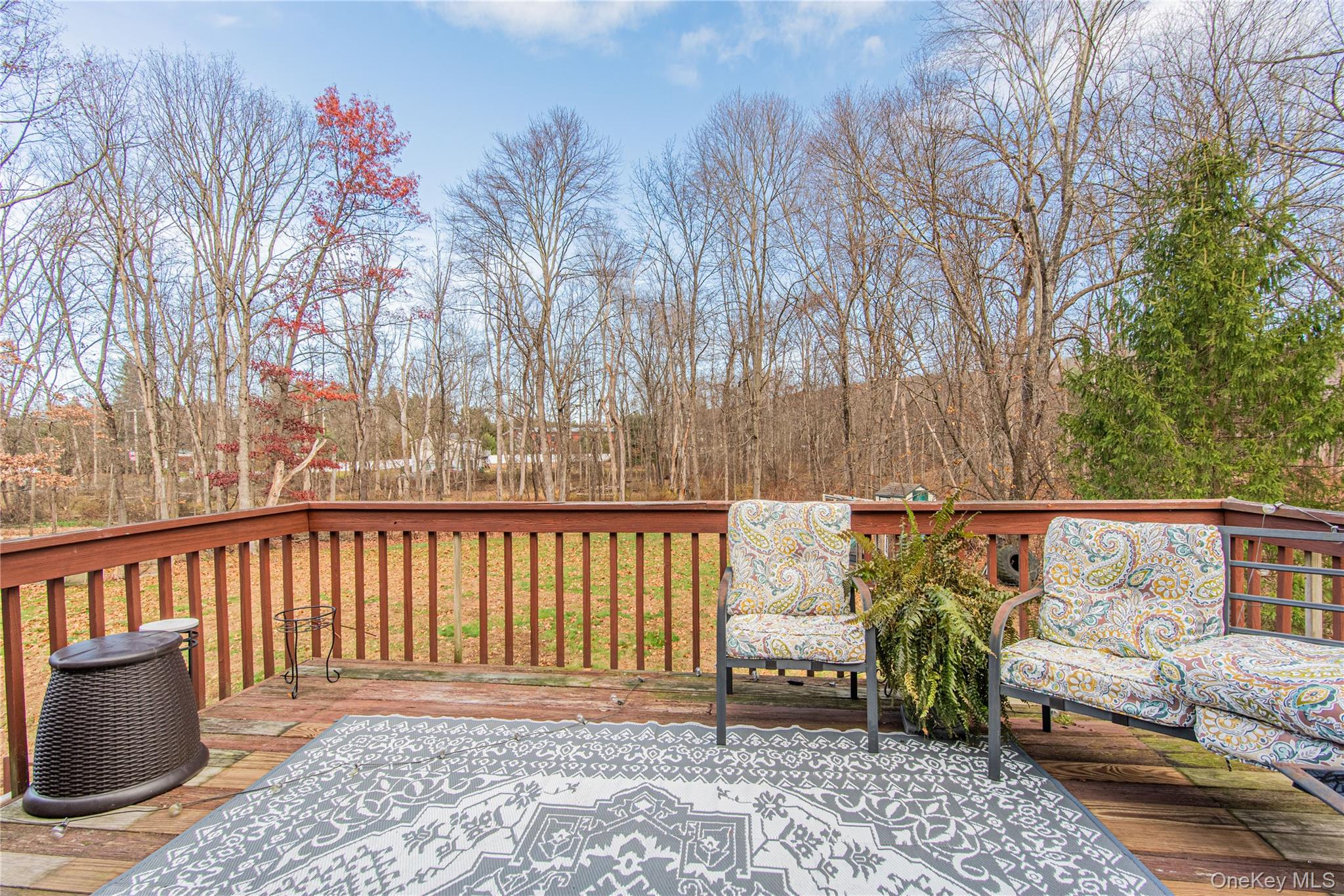 105 Oak Ridge Road Hopewell Junction, NY 12533 - Photo 17 of 32