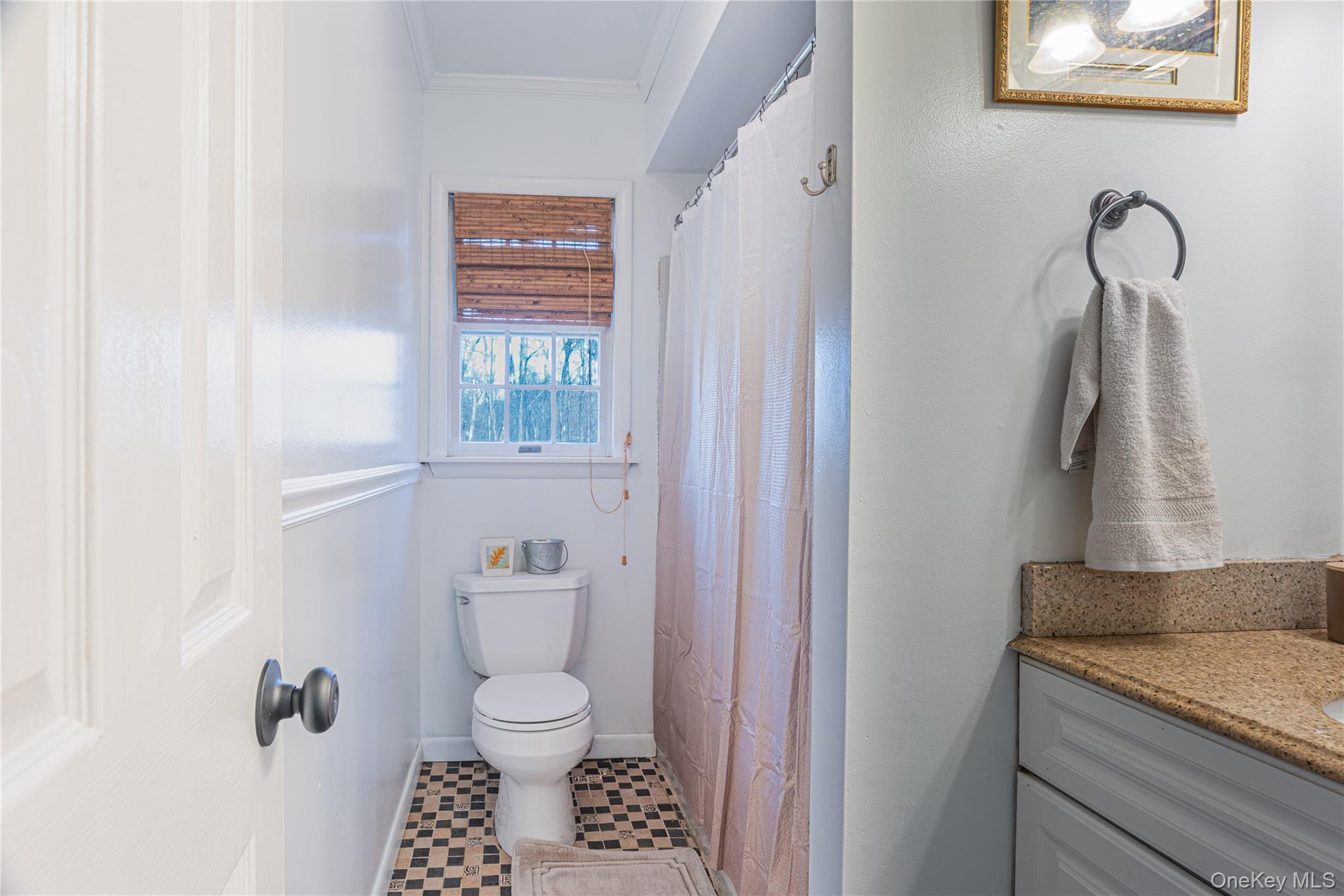 105 Oak Ridge Road Hopewell Junction, NY 12533 - Photo 18 of 32 a bathroom with a granite countertop toilet a sink and a mirror