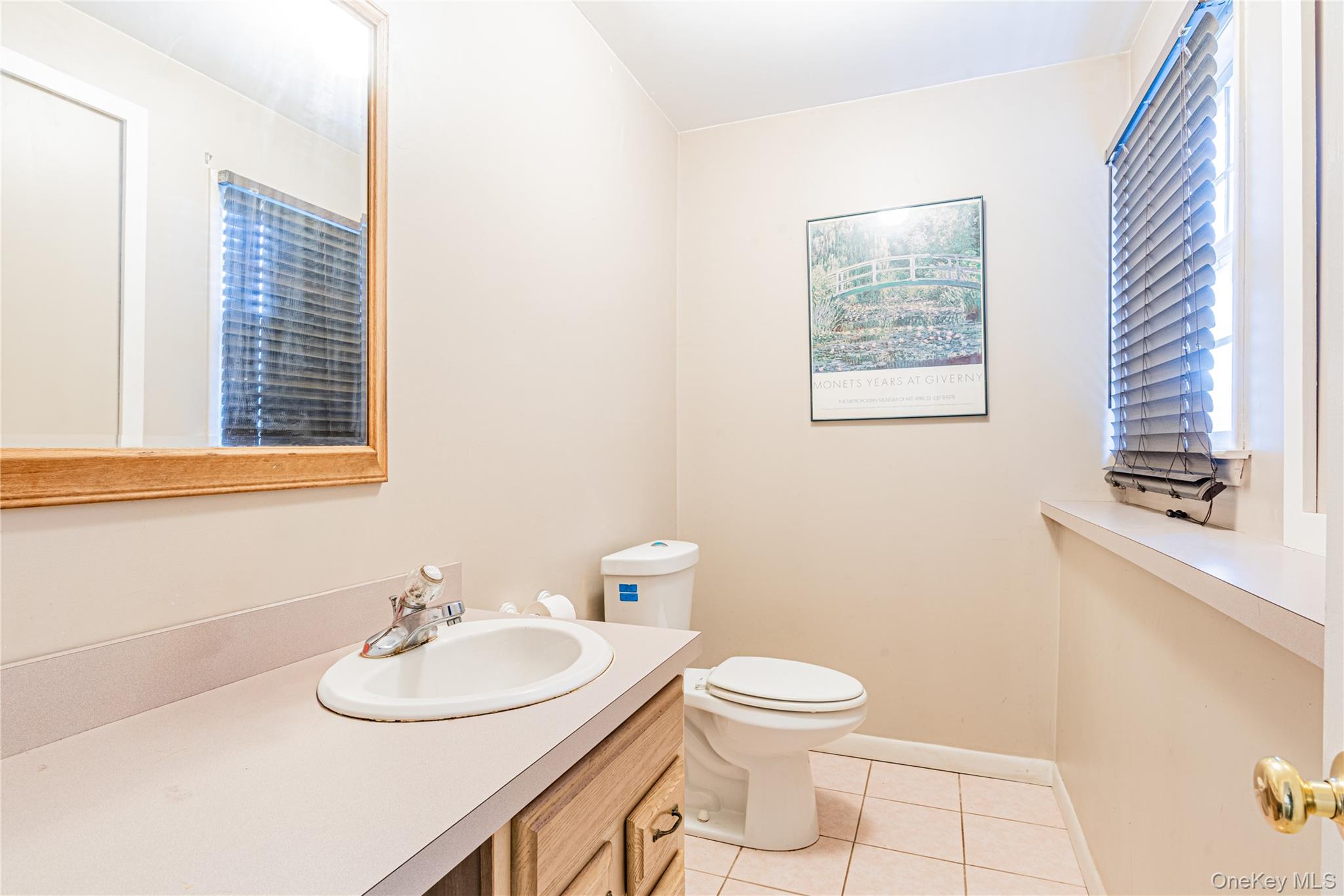 105 Oak Ridge Road Hopewell Junction, NY 12533 - Photo 26 of 32 a bathroom with a sink a toilet and mirror