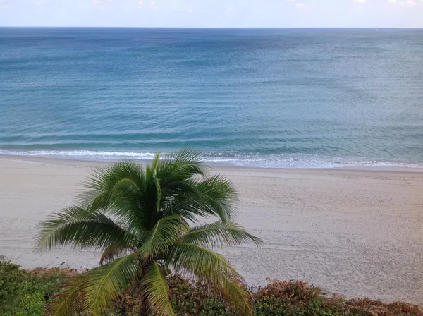 $10,000 | 2909 South Ocean Boulevard, Unit 6A3, Highland Beach, FL 33487