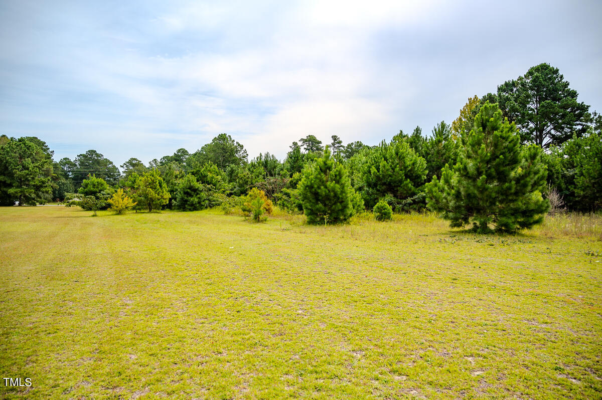 0 John Nunnery Road Stedman, NC 28391 - Photo 16 of 24 6ac - Watson - Cumberland Co. - DM (10)