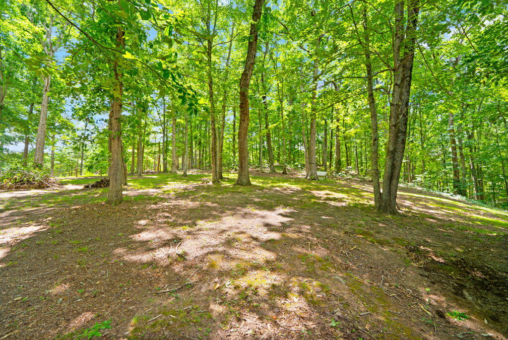 1261 Clark Road Irvine, KY 40336 - Photo 21 of 88 IMG_1731