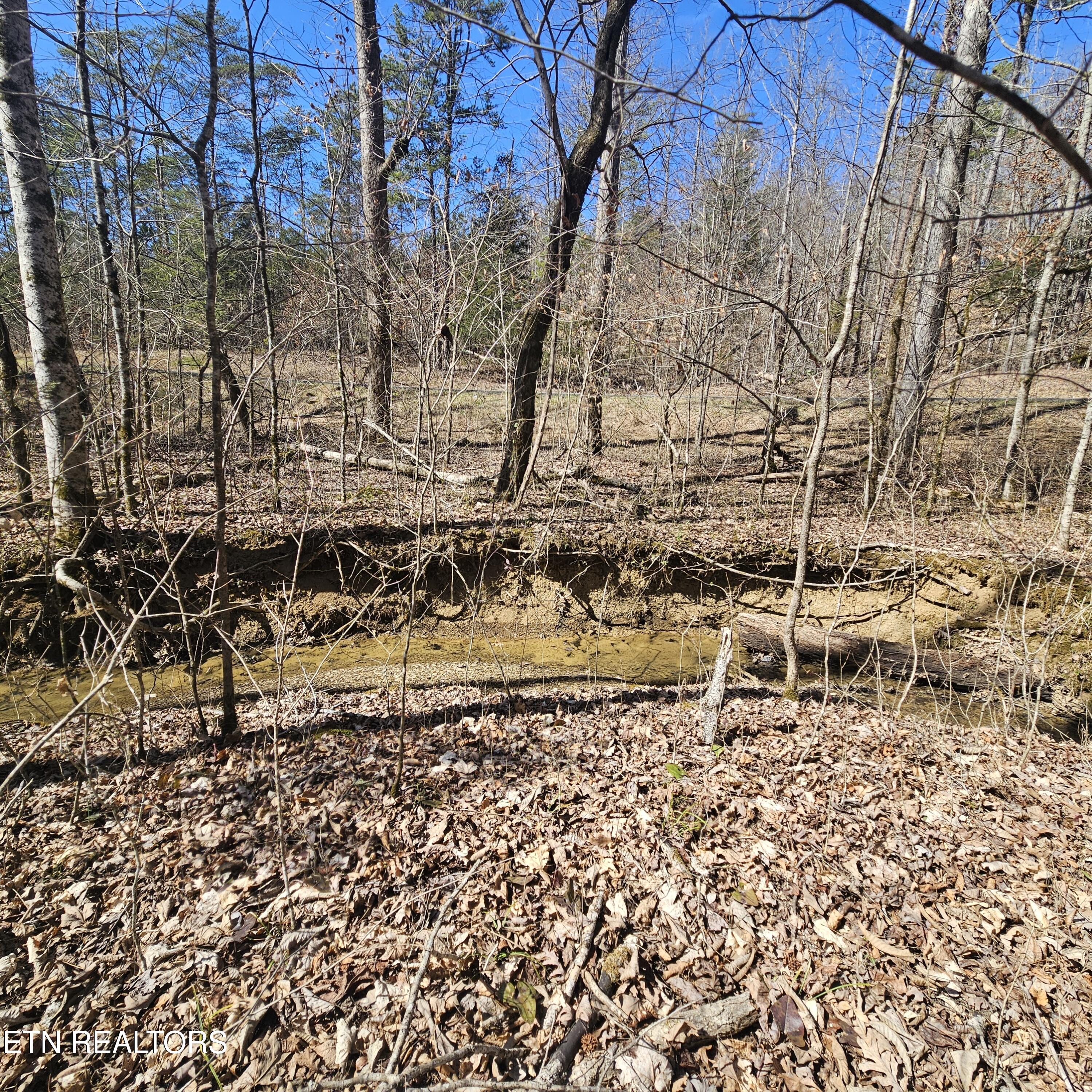 Creek Road Tellico Plains, TN 37385 - Photo 12 of 19 left side