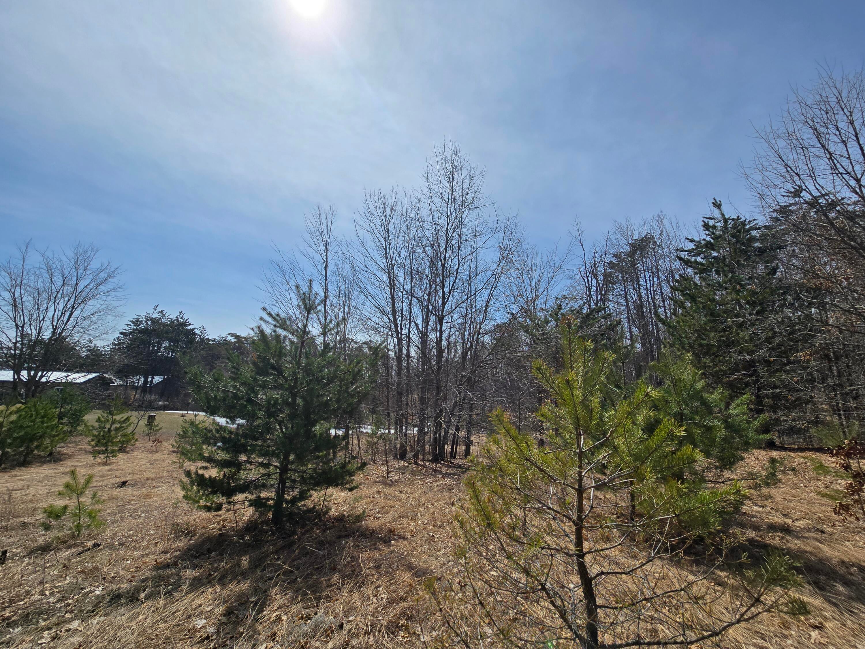1905 North Mt Tom Road Mio, MI 48647 - Photo 124 of 128 Gallery Image 124