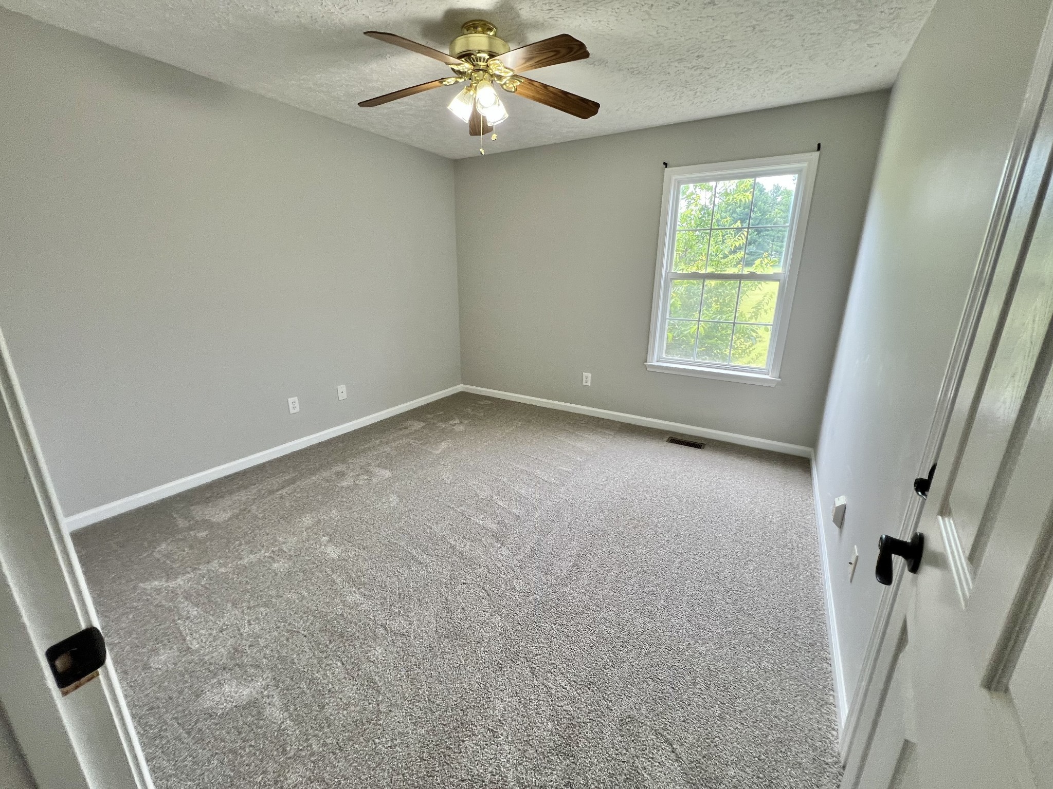 5345 Ashburn Road Springfield, TN 37172 - Photo 23 of 46 an empty room with windows and ceiling fan