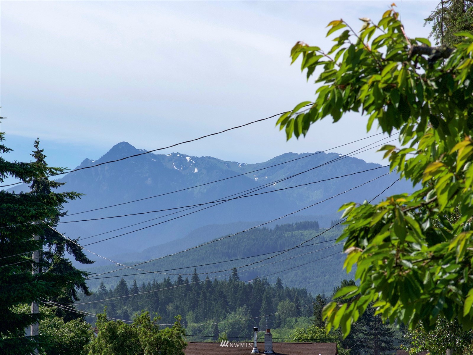 141 Streit Road Sequim, WA 98382 - Photo 4 of 40 a view of a yard and an outdoor space
