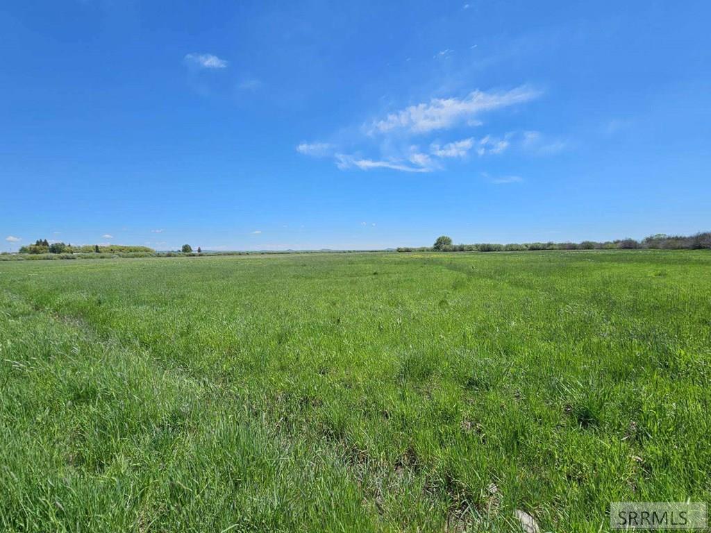 1660 East Camas Road Lima, ID 59739 - Photo 3 of 8