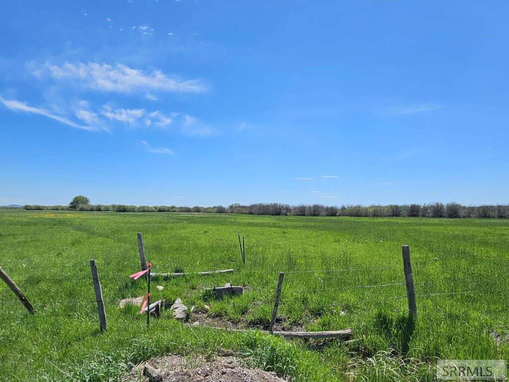 1660 East Camas Road Lima, ID 59739 - Photo 4 of 8