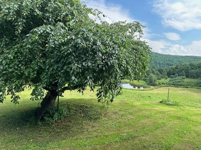 260 Tanner Road Cambridge, VT 05464 - Photo 25 of 26