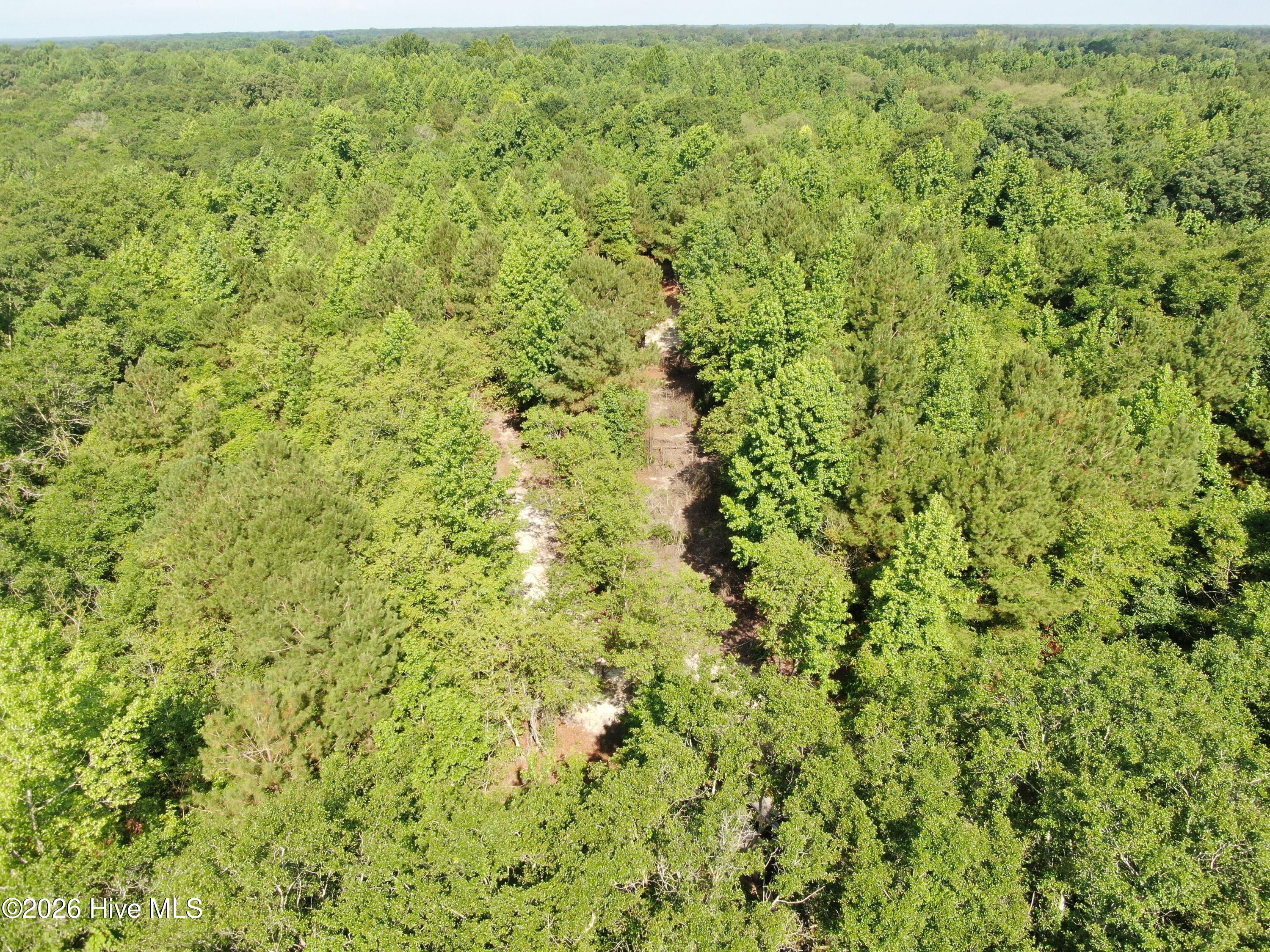 Tbd Oliver Carlton Road Warsaw, NC 28398 - Photo 12 of 15