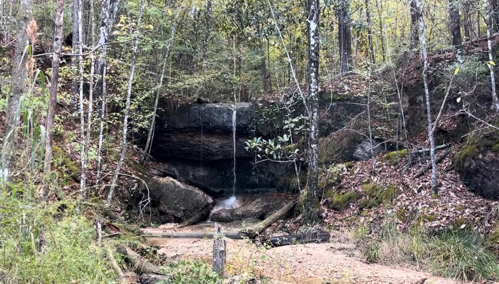 0 Stump Road Gloster, MS 39638 - Photo 2 of 39 Photo 2