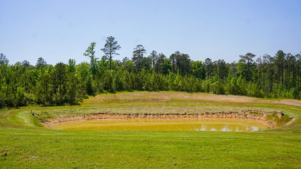 0 Stump Road Gloster, MS 39638 - Photo 28 of 39 Photo 28