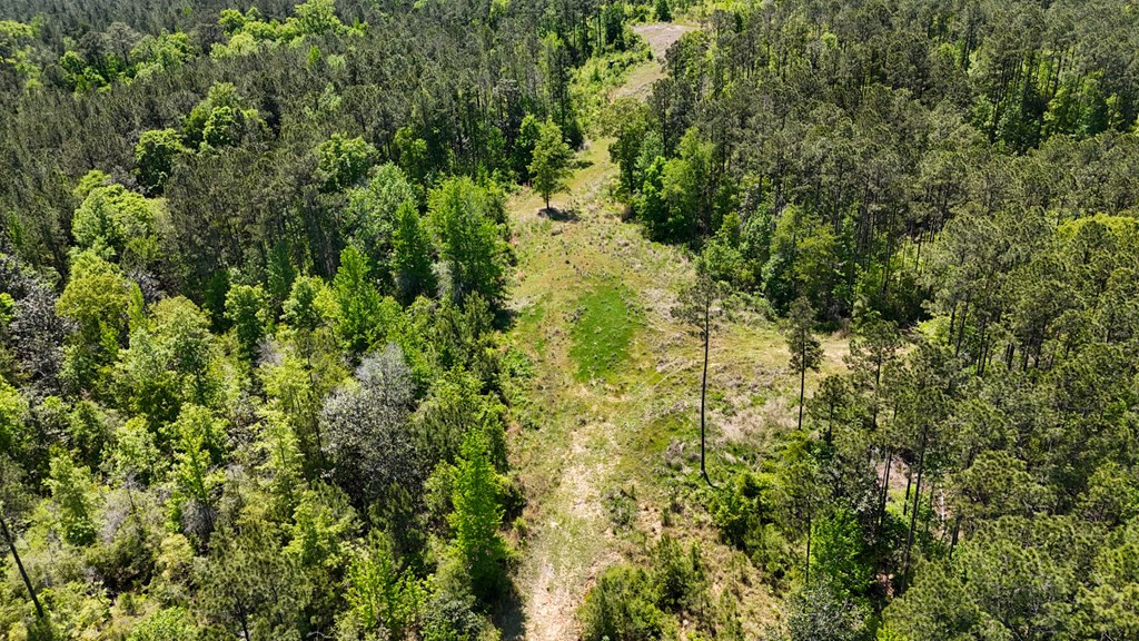 0 Stump Road Gloster, MS 39638 - Photo 32 of 39 Photo 32