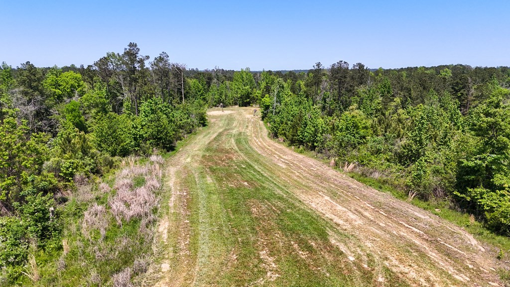 0 Stump Road Gloster, MS 39638 - Photo 34 of 39 Photo 34