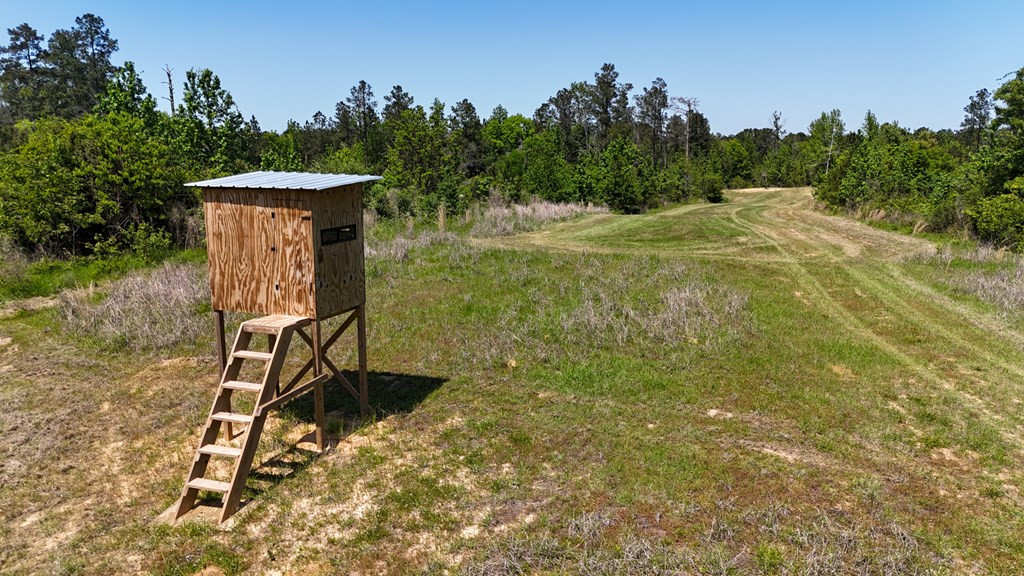 0 Stump Road Gloster, MS 39638 - Photo 35 of 39 Photo 35