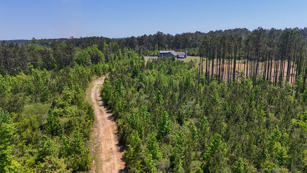 0 Stump Road Gloster, MS 39638 - Photo 36 of 39 Photo 36
