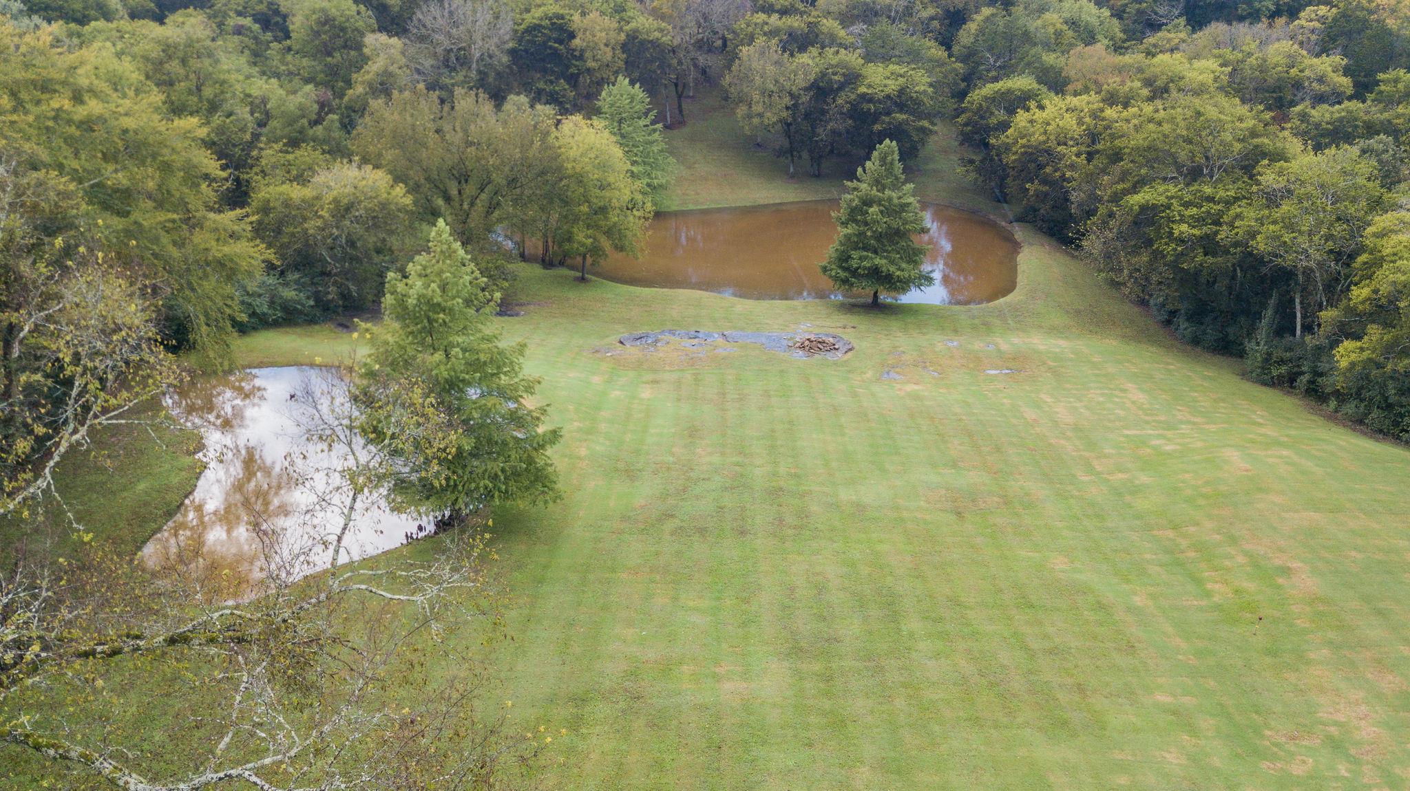 6229 Pettus Road Antioch, TN 37013 - Photo 14 of 29 Gallery Image 14