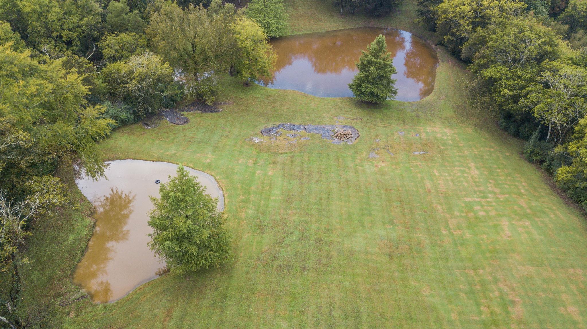 6229 Pettus Road Antioch, TN 37013 - Photo 15 of 29 Gallery Image 15