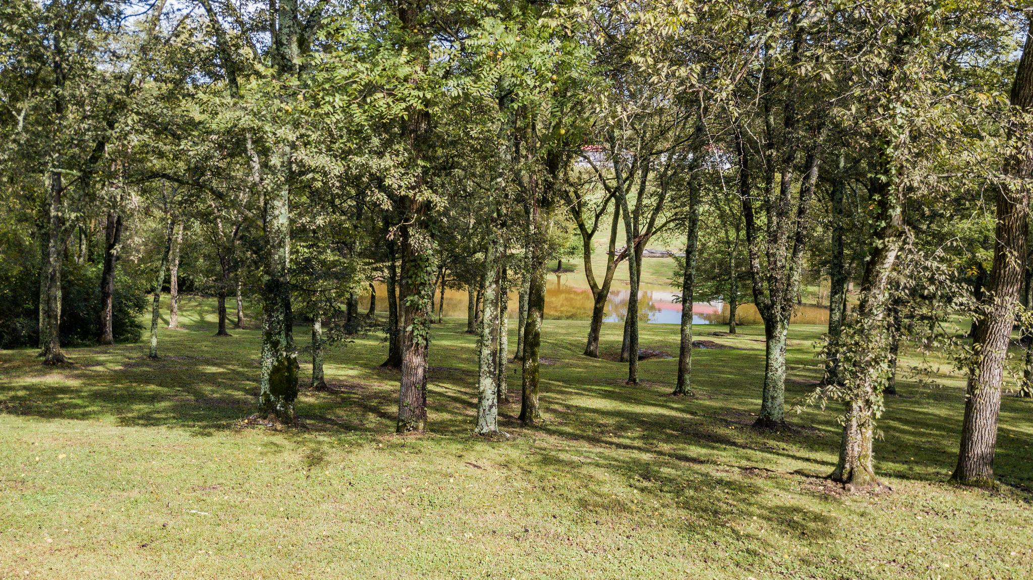 6229 Pettus Road Antioch, TN 37013 - Photo 20 of 29 Gallery Image 20