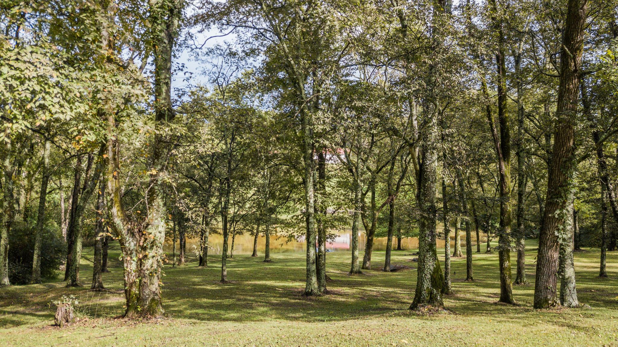 6229 Pettus Road Antioch, TN 37013 - Photo 22 of 29 Gallery Image 22