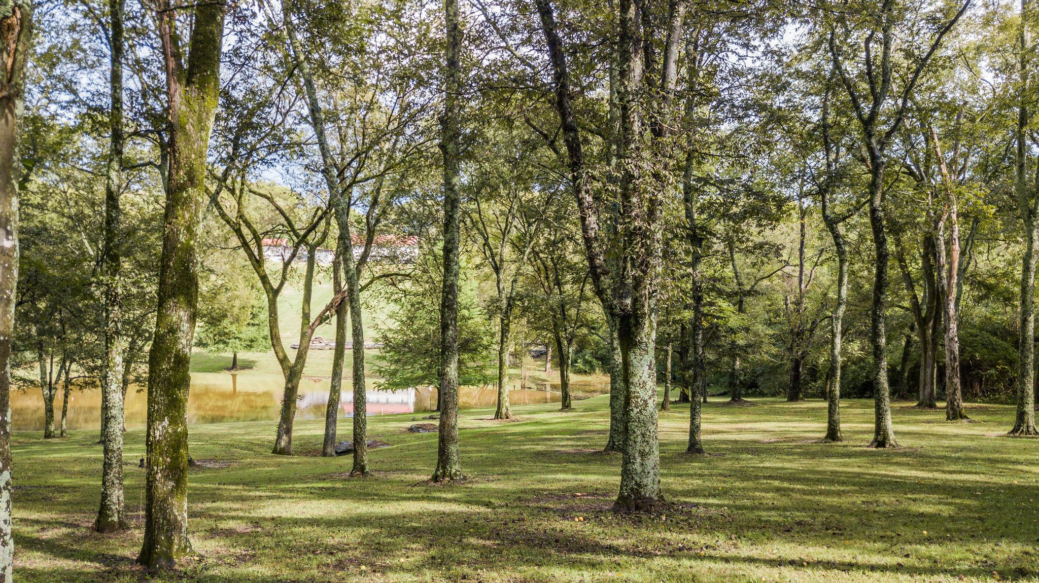6229 Pettus Road Antioch, TN 37013 - Photo 23 of 29 Gallery Image 23