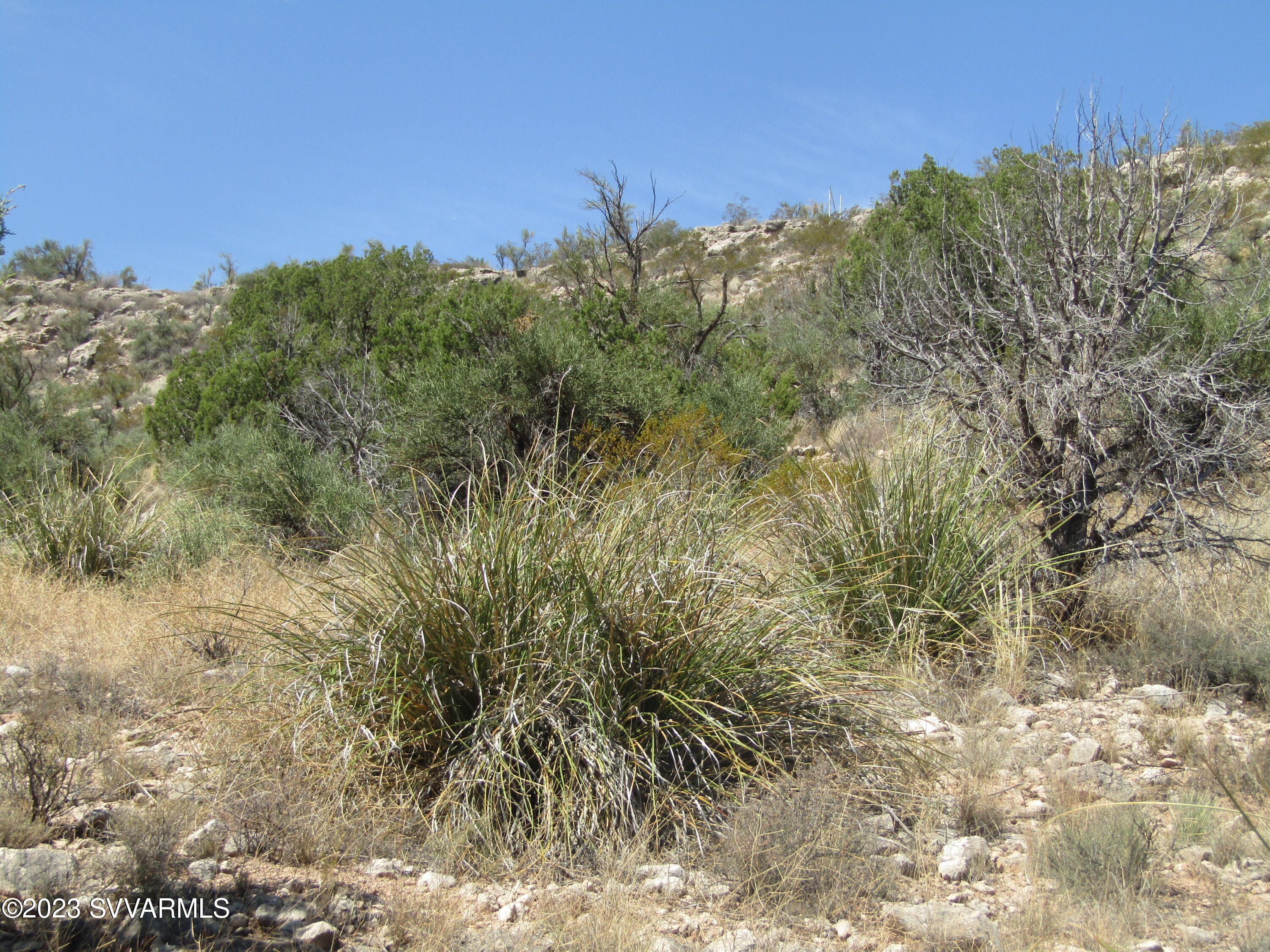 6040 Impala Lane Rimrock, AZ 86335 - Photo 23 of 32 IMG_3167