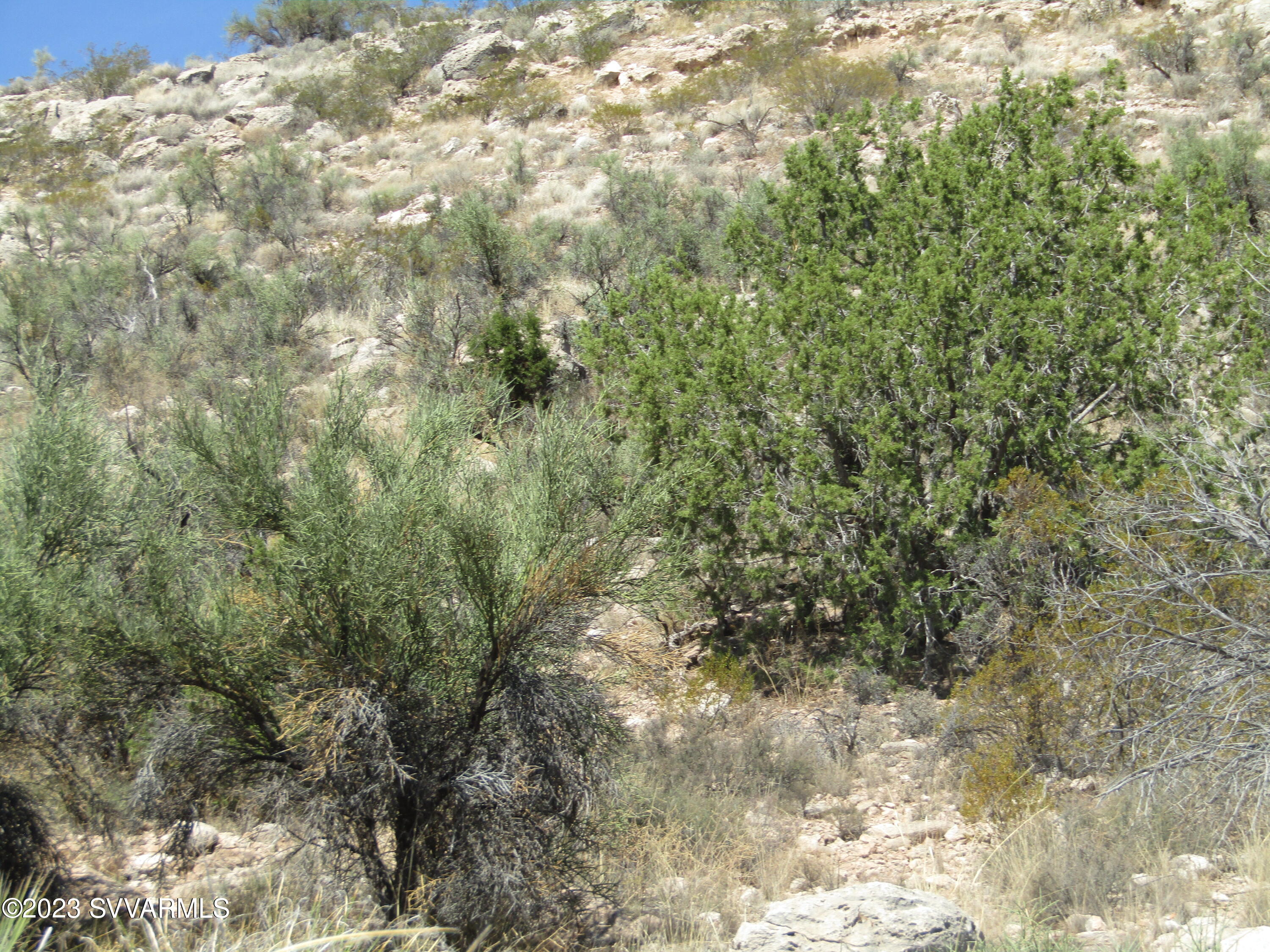 6040 Impala Lane Rimrock, AZ 86335 - Photo 24 of 32 IMG_3168