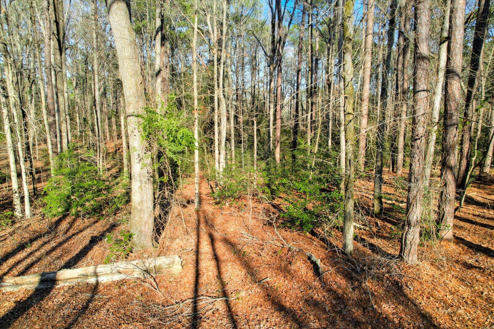 0 Harlem Grovetown Road Grovetown, GA 30813 - Photo 2 of 14 01-101