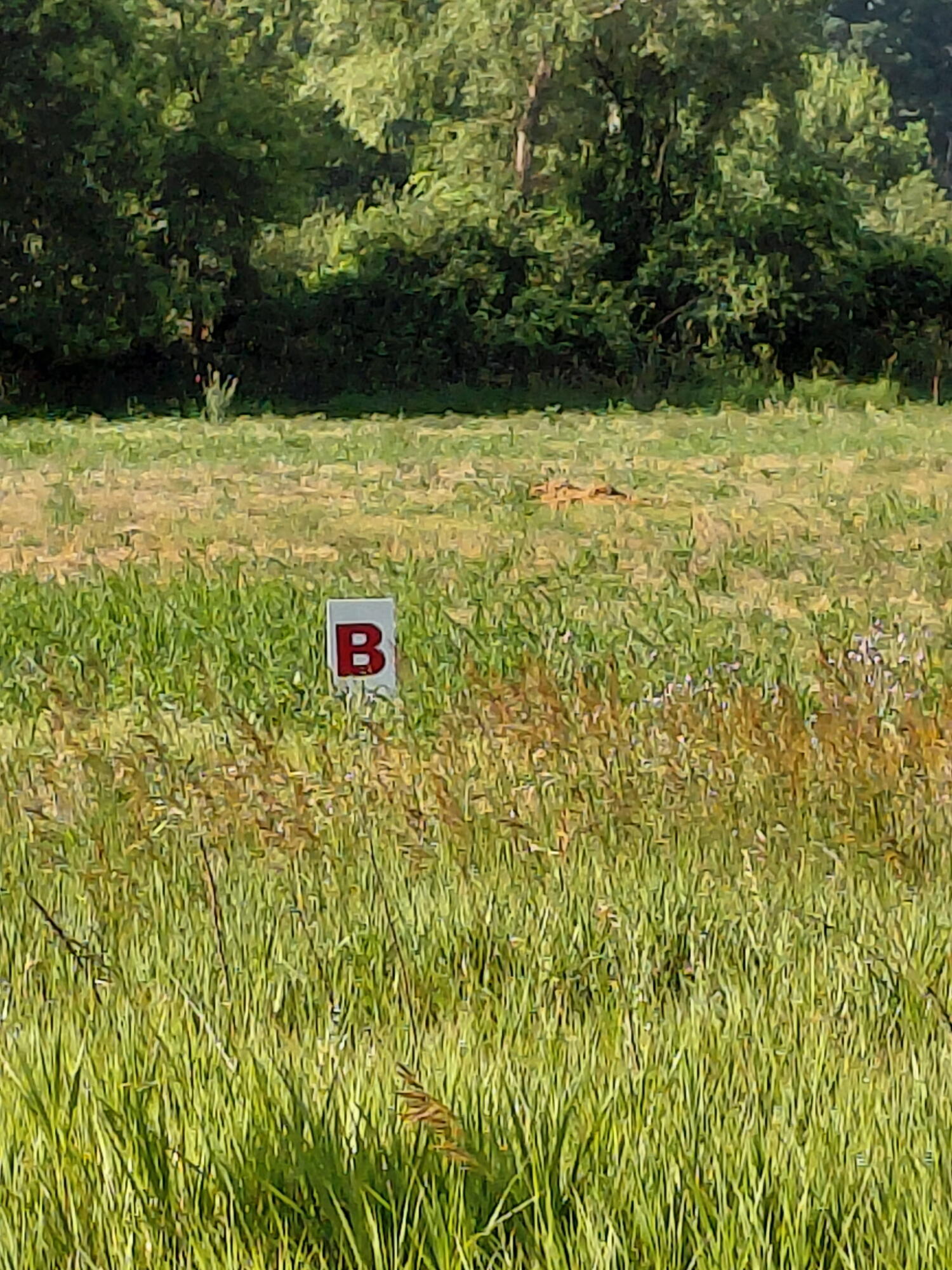 Stony Lake Road Jackson, MI 49201 - Photo 1 of 1 Lot B