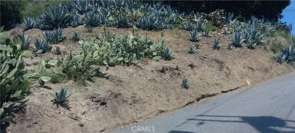 a view of a dry yard with lots of bushes