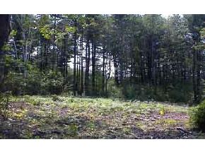 0 West Colburn Road New Boston, NH 03070 - Photo 2 of 2