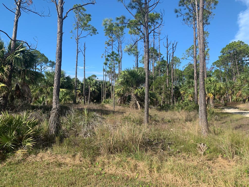 729 Indian Pass Road Port St. Joe, FL 32456 - Photo 2 of 5