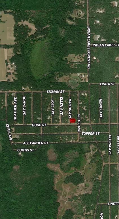 13 Martin Avenue Interlachen, FL 32148 - Photo 2 of 4