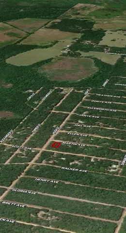 $7,400 | 13 Martin Avenue, Interlachen, FL 32148