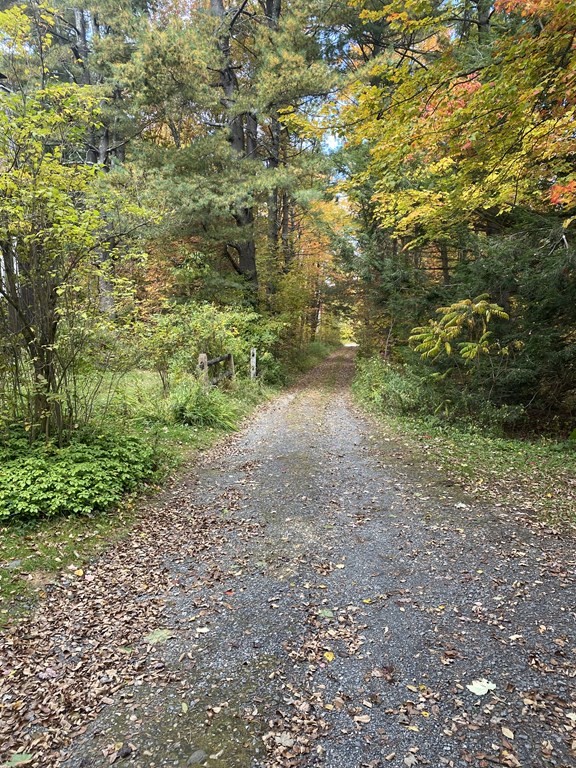 241 Sandisfield Road Sandisfield, MA 01255 - Photo 7 of 35 a view of a yard with a trees