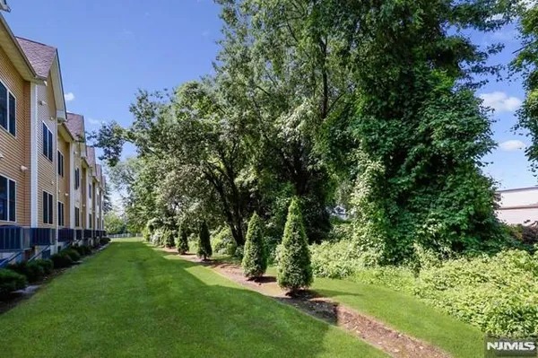 a view of a yard with plants and trees