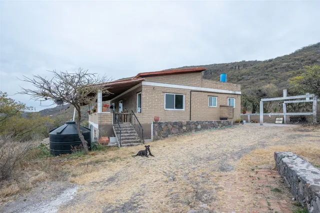 a view of a dry field with trees in background