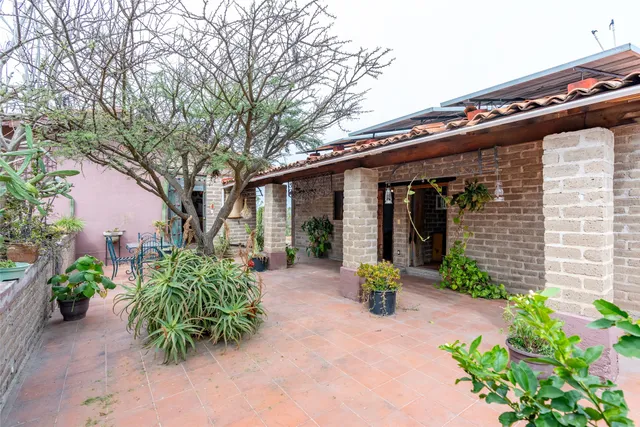 a couple of flower plants in front of yellow house