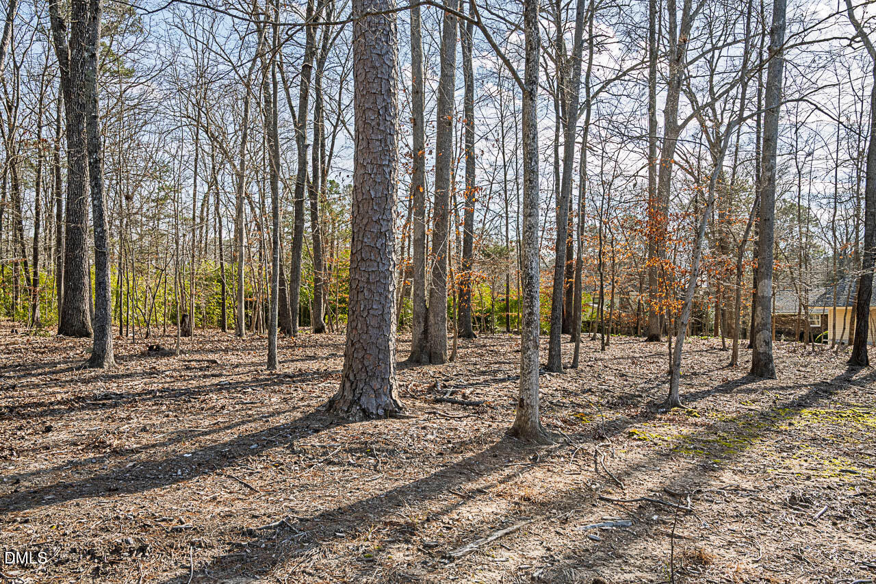 4012 Nottaway Road Durham, NC 27707 - Photo 11 of 15 Back of Lot