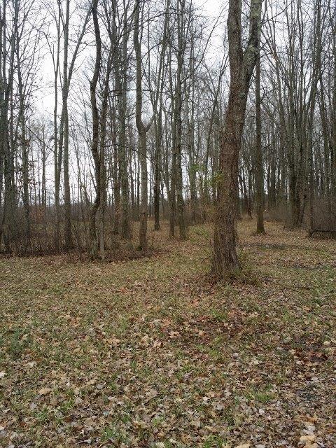 68 & Park Road Blanchester, OH 45107 - Photo 1 of 1