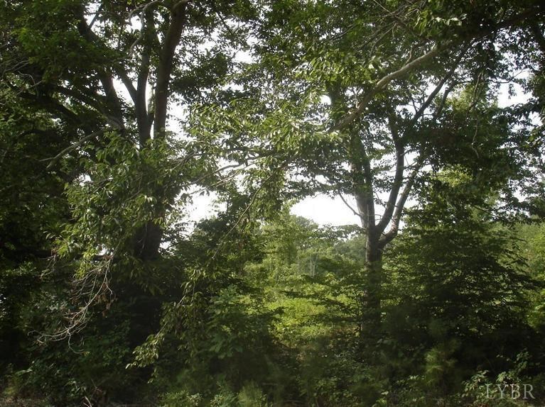 0 Lowesville Road Arrington, VA 22922 - Photo 4 of 4 a view of tree