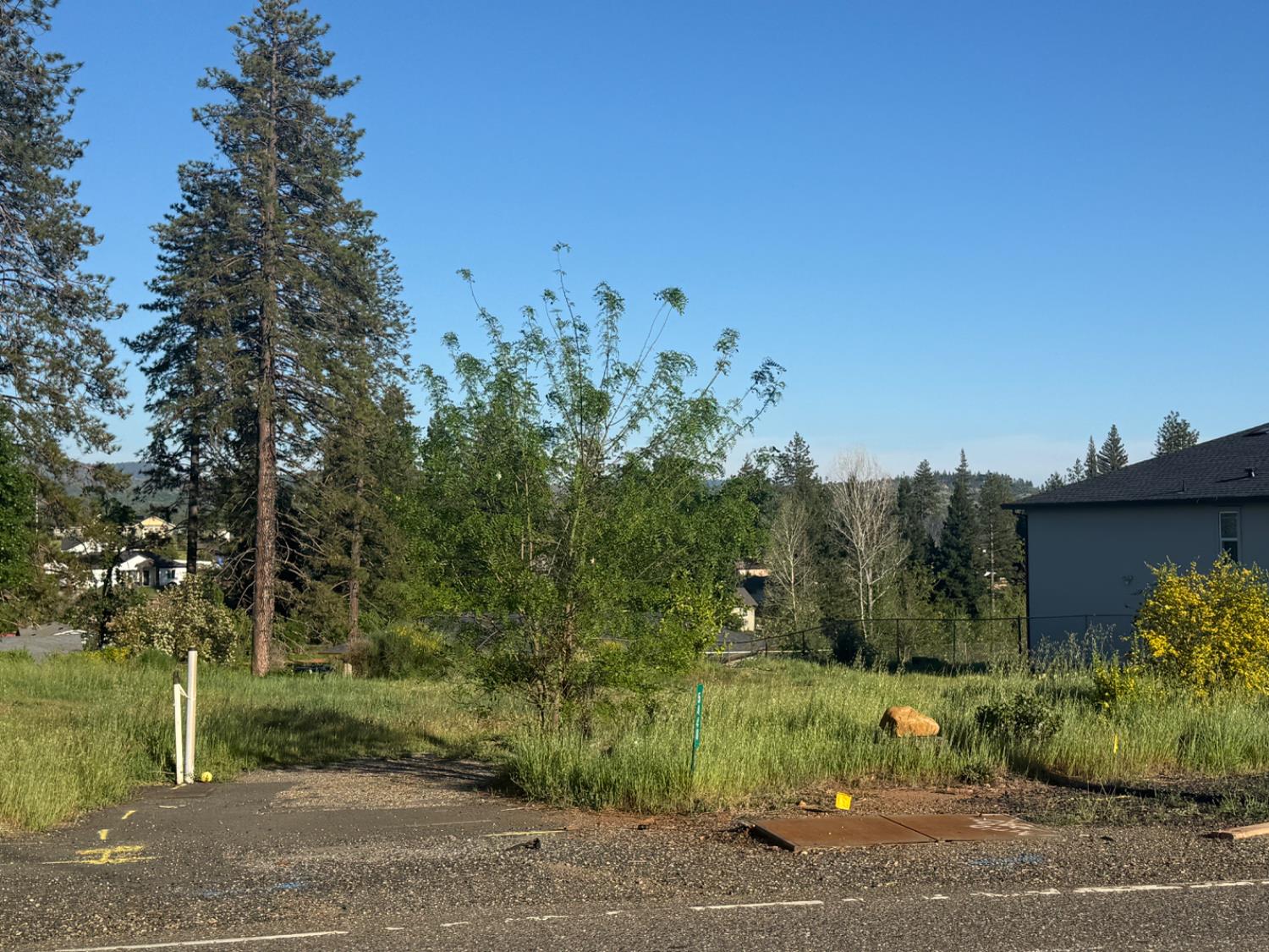 5448 Pentz Road Paradise, CA 95969 - Photo 3 of 9