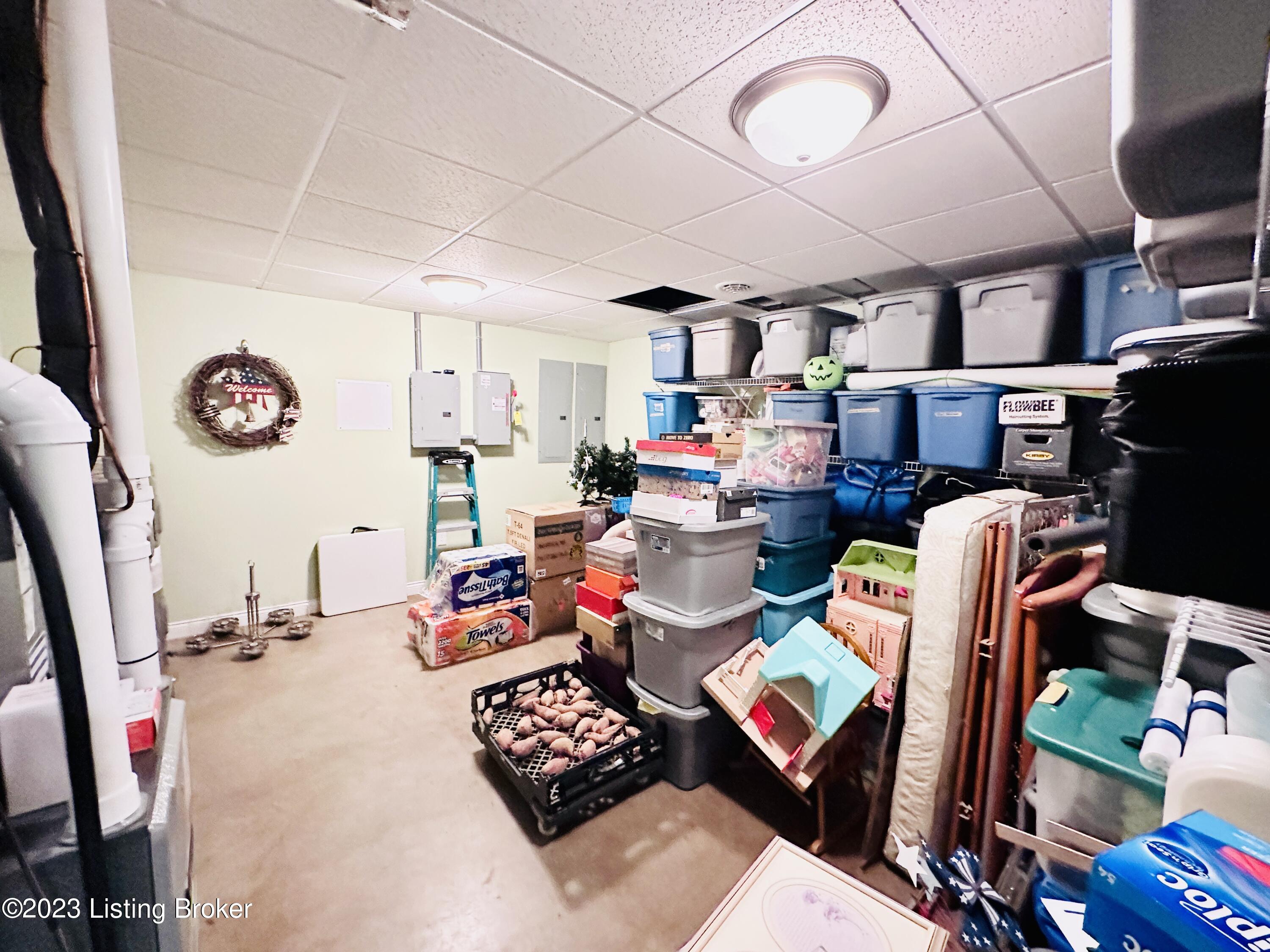 843 Pleasant View Road Millwood, KY 42762 - Photo 72 of 113 Basement interior-7