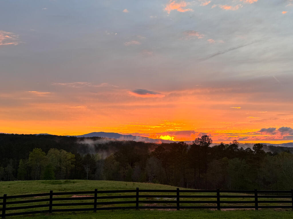252 C C Camp Road Copperhill, TN 37317 - Photo 122 of 143 Gallery Image 122